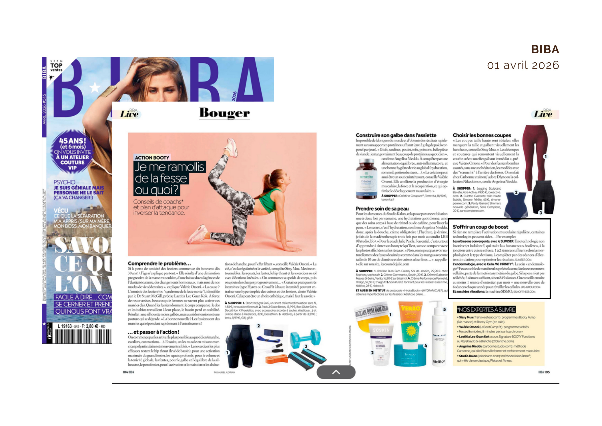 Article Biba